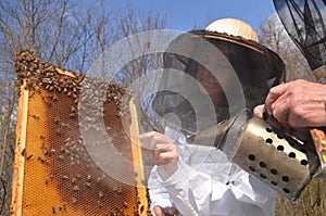 A young girl beekeeper in apiary