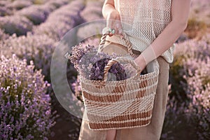 Young girl in a beige straw hat in the lavender fields