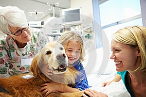 Young Girl Being Visited In Hospital By Therapy Dog