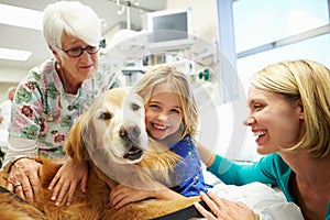 Young Girl Being Visited In Hospital By Therapy Dog