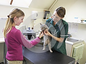Young Girl Bringing Cat For Examination By Vet photo