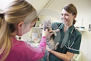 Young Girl Bringing Cat For Examination By Vet