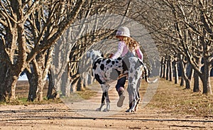 Young girl child playing walking her dog great dane