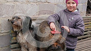 Young girl combing big fluffy dog. Care for long fur animals. Combs for pets. Love supportng caring puppy adoption concept.