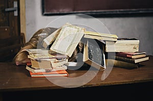 A young girl covered by books on the table