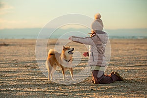 A young girl with a dog in nature. Kid girl playing with a shiba inu dog on the beach at sunset in Greece in winter