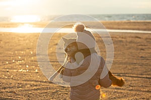 A young girl with a dog in nature. Kid girl sitting with a shiba inu dog on the beach at sunset in Greece in winter