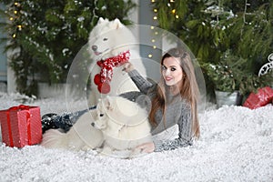 A young girl with a dog near the Christmas tree