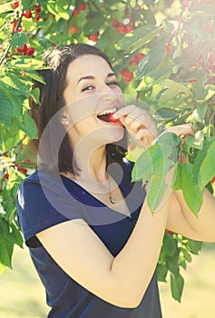 Young girl eats cherry from cherry tree