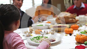 Young Girl Enjoying Family Thanksgiving Dinner