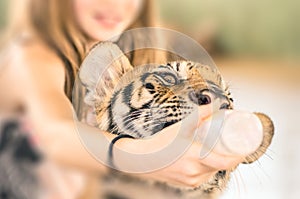 Young girl feeding a baby tiger with biberon at the zoo