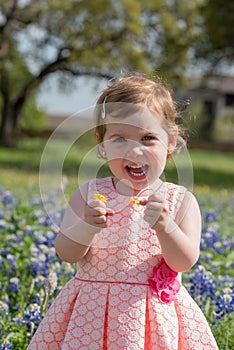 Young Girl in Field of Blue Bonnet Flowers