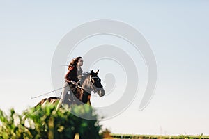 Young girl gallopading on a young dark horse.