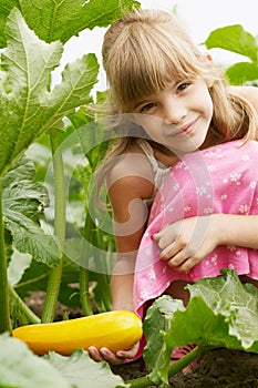 The young girl is in the garden