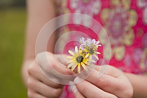 Young girl giving flowers