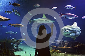 Young girl in glass tunnel in L'Oceanografic aquarium