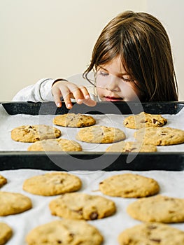 Young girl grabbing cookies from a baking tray