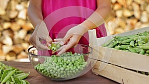 Young girl hands shelling peas, closeup