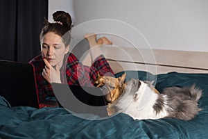 Young girl, her dog french bulldog and fluffy cat work at home in bed during quarantine