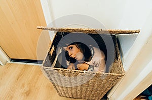 Young girl hiding in basket