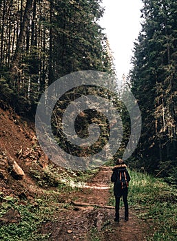 Young girl hiker at forest mountains landscape with backpack travel. Lifestyle wanderlust adventure. Location Carpathian national