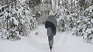 Young girl with his beagle dog are walks through a snowy winter forest. Outdoor walking. Mans best friend. Slow motion