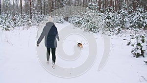 Young girl with his beagle dog are walks through a snowy winter forest. Outdoor walking. Mans best friend. Slow motion