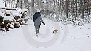 Young girl with his beagle dog are walks through a snowy winter forest. Outdoor walking. Mans best friend. Slow motion