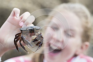 Young Girl Holding Crab Found In Rockpool On Beach