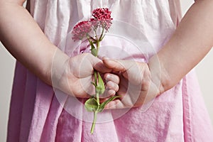 Young girl holding pink flowers behind her back