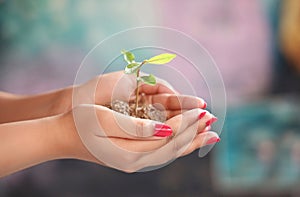 A young girl holding a plant