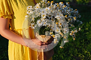 A young girl holds a bouquet of wild daisies in her hands. Bouquet of daisies in a paper bag. Close up