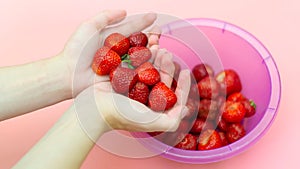 A young girl holds a strawberry in her hands against the background of strawberries in a plate. Red, ripe berry in the hands. Pink