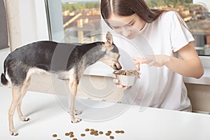 A young girl in home clothes gives food to a small dog, looks in her bowl