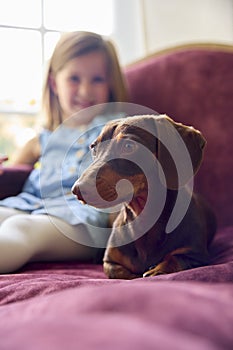Young Girl At Home Stroking Pet Dachshund Dog Sitting On Chair