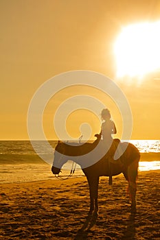 Young girl horseback riding on the beach at sunset