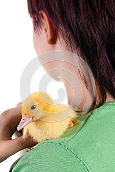 Hugging an easter duckling