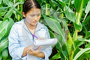 A young girl inspects the corn and notes the observations found