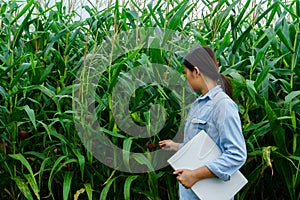 A young girl inspects the corn and notes the observations found