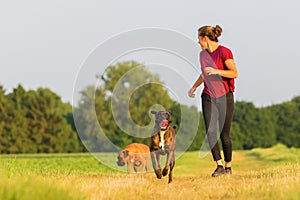 Young girl jogs with two boxer dogs