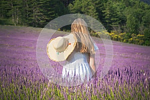 Young girl in the lavander fields. France - Provence