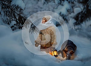 Night in the snowy forest