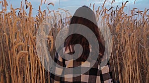 A young girl with long hair walks through a wheat field. Close-up. Back view. Slow motion