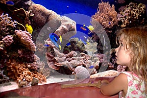 Young girl looks at fish in tank at Monterey Bay Aquarium. Monterey, CA