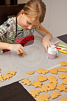 Young girl making gingerbread Christmas cookies