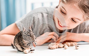 Young girl observe the degu squirrel