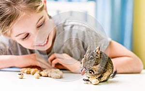 Young girl observe the degu squirrel photo