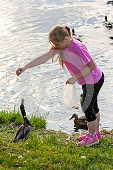 A young girl in the park feeds ducks