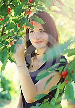 Young girl picking cherry from cherry tree