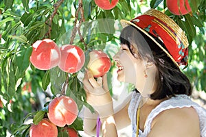 Young girl picking japan peaches